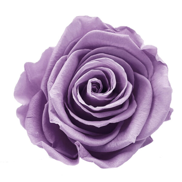 Mother's Day - Flower Thumbnail