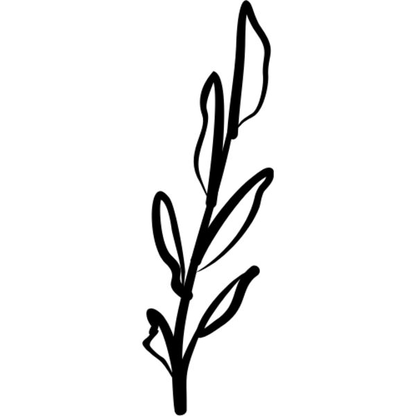 Floral Element4 Thumbnail